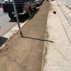 Photo of Rock Hard Turf