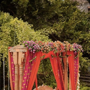 Photo of Avsar Event Planner