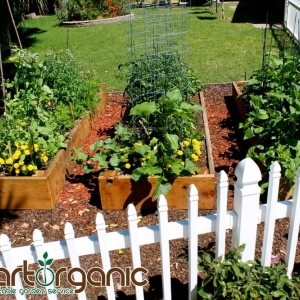 Photo of StartOrganic Vegetable Garden Service