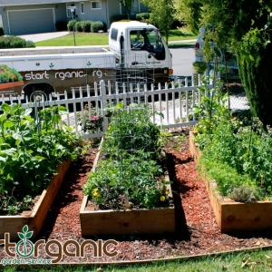 Photo of StartOrganic Vegetable Garden Service
