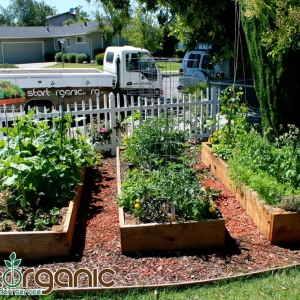 Photo of StartOrganic Vegetable Garden Service