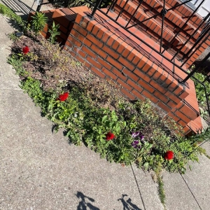 Baltimore L&A Custom Landscaping & Lawn Care