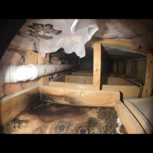 Photo of Degabli Restoration & Construction