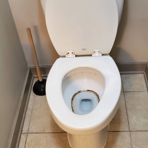 Photo of Tonia's Housecleaning