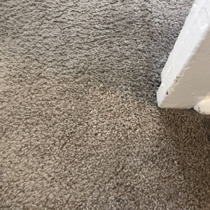 Photo of LA Carpet Repair and Cleaning