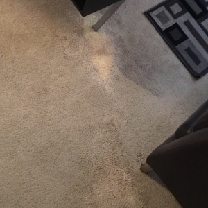 Photo of LA Carpet Repair and Cleaning