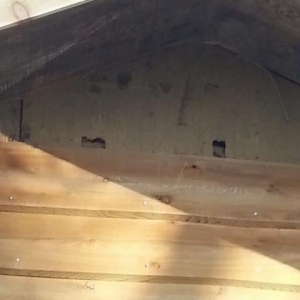 Photo of Gutters Plus Exteriors1