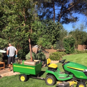 Photo of Superior Irrigation & Landscaping Company