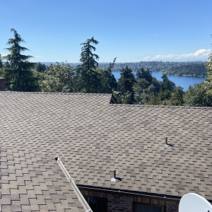 Lynnwood Endurant Roof