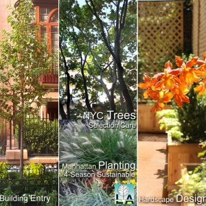 Photo of H LINE ARBORIST