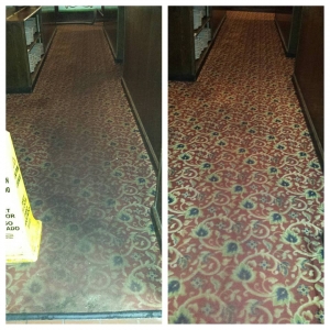 Photo of Greener Method Cleaning & Restoration