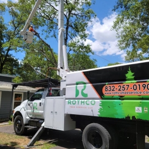 Photo of Rothco Tree Service