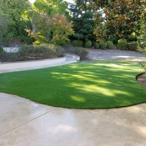 Photo of Watersavers Turf