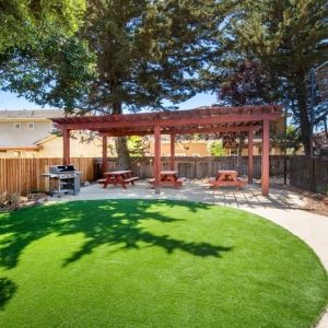 Photo of Watersavers Turf