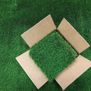 Photo of Watersavers Turf