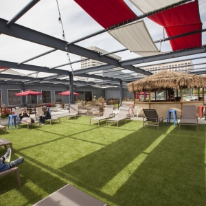 Photo of Watersavers Turf