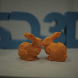 Photo of SD3D Printing