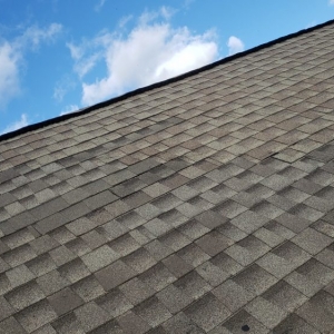 Photo of CMS Roofing