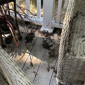 Photo of Arocon Roofing And Construction