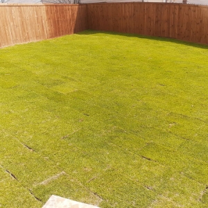 Photo of The Grass Company