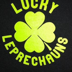 Photo of Lucky Leprechauns Cleaning Services
