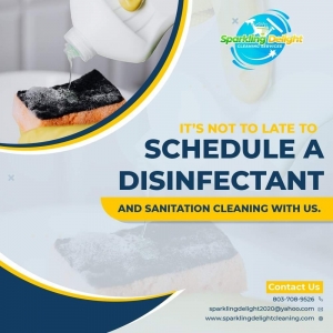 Photo of Sparkling Delight Cleaning Services
