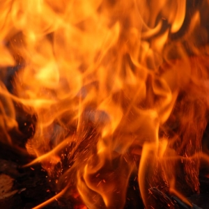 Photo of Fire Damage