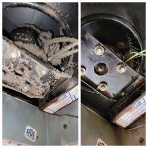 Photo of Monster Steamer & Air Duct Cleaning