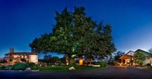 Photo of T Bar M Retreats