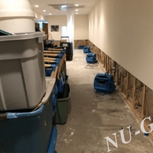 Photo of Nu-Gen Cleaning & Restoration
