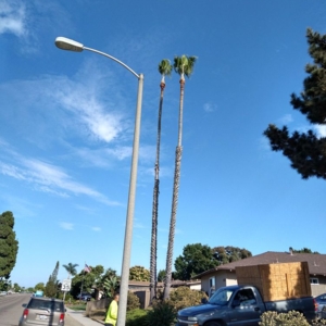 Photo of Green Compass Landscape And Maintenance