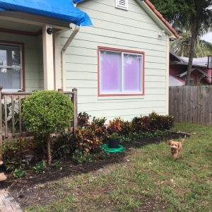 Photo of Island's Lawn & Garden