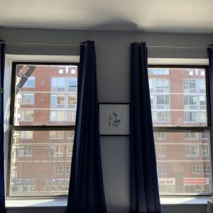 Photo of Bohemia Window Cleaning