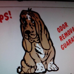 Photo of R&L Carpet Upholstery Cleaning & Restoration