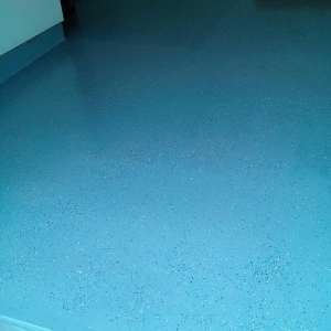 Photo of R&L Carpet Upholstery Cleaning & Restoration