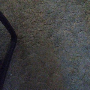 Photo of R&L Carpet Upholstery Cleaning & Restoration