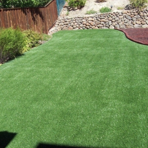 Photo of Green Living Services