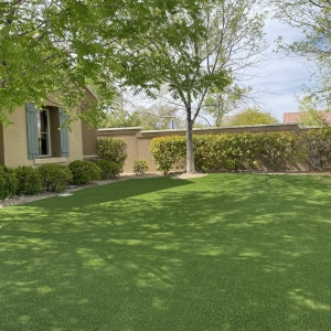 Photo of Green Living Services