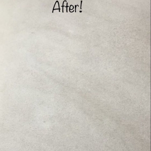 Photo of Naturalist Carpet Cleaning