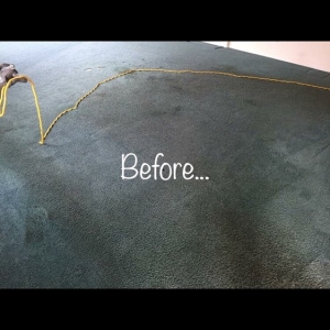 Photo of Naturalist Carpet Cleaning