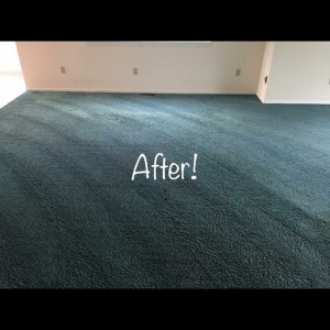 Photo of Naturalist Carpet Cleaning