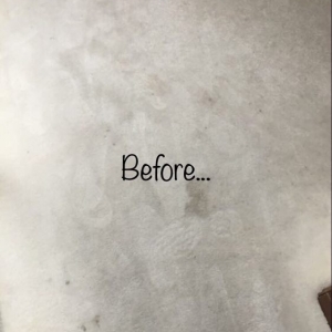Photo of Naturalist Carpet Cleaning