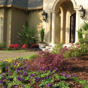 Photo of The Good Earth Garden Center