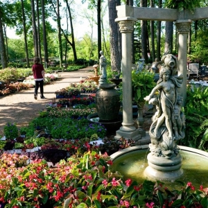 Photo of The Good Earth Garden Center