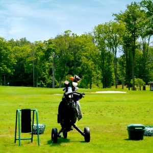 Photo of Broadmoor Country Club