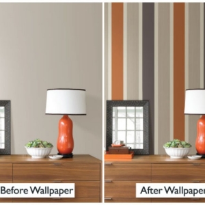 Photo of Culture Inspired Walls