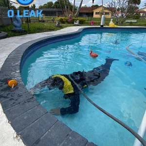 Photo of zero Leak pros