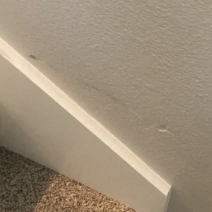 Photo of Professional Relocating