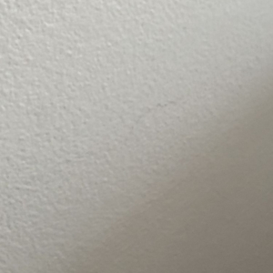 Photo of Professional Relocating