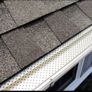 Photo of Black Creek Gutter